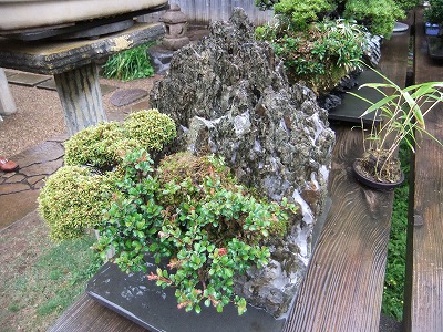 e0173645_201554100.jpg