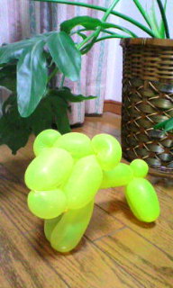 f0071647_2302143.jpg