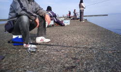 b0189948_1150099.jpg