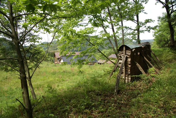 f0214649_827725.jpg