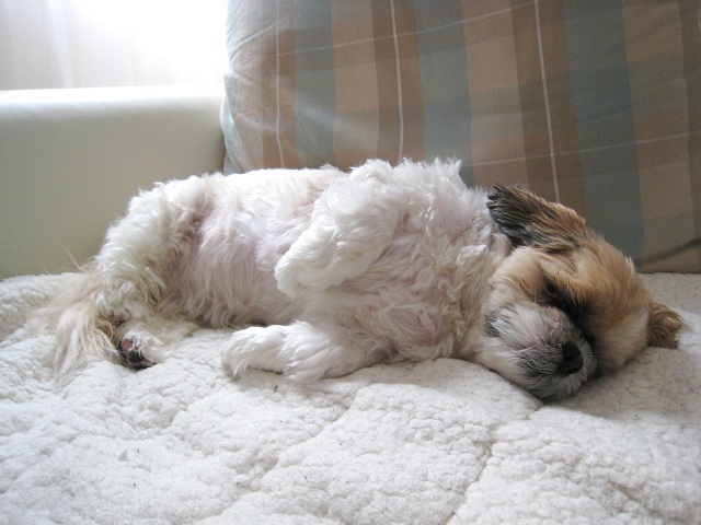 c0043751_0375441.jpg