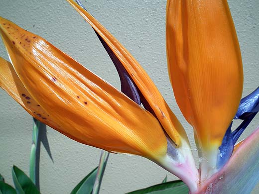 e0050753_111325100.jpg