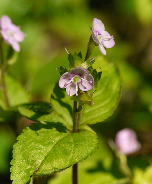 d0091754_0453924.jpg