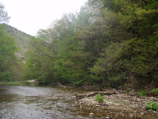 b0177355_21521974.jpg