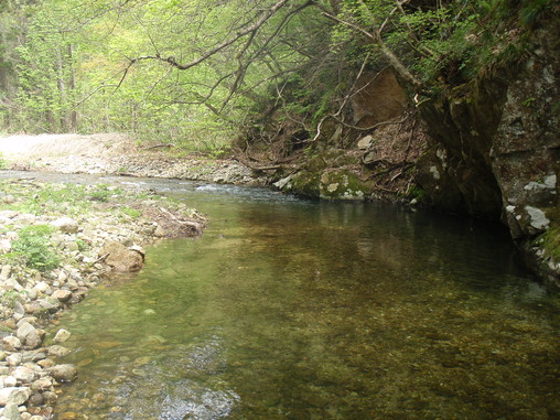 b0177355_22163722.jpg