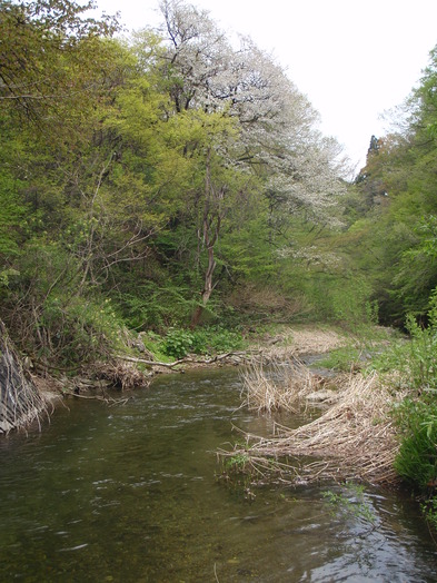b0177355_22213418.jpg