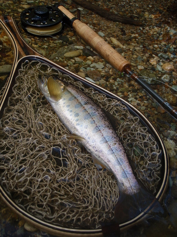 b0177355_22343859.jpg
