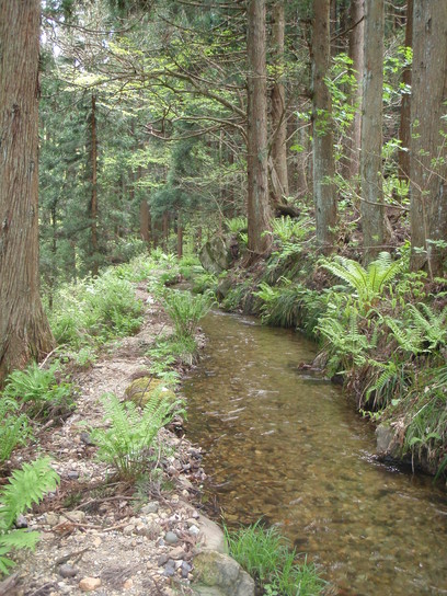b0177355_2301532.jpg