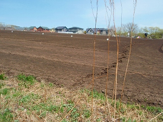 e0004756_20594922.jpg