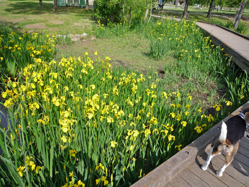 b0045357_15564267.jpg
