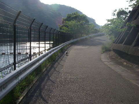 b0137459_22333711.jpg