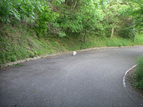 b0137459_2238366.jpg