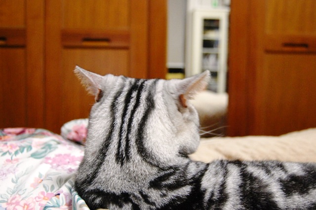 f0043859_2252437.jpg