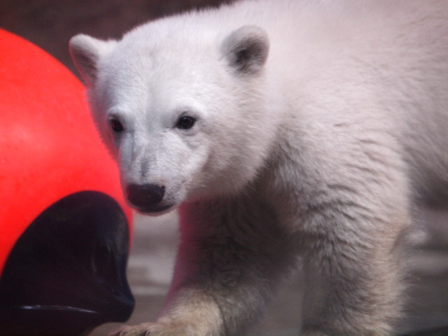 c0186760_20523180.jpg