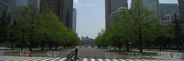 c0062361_1422085.jpg