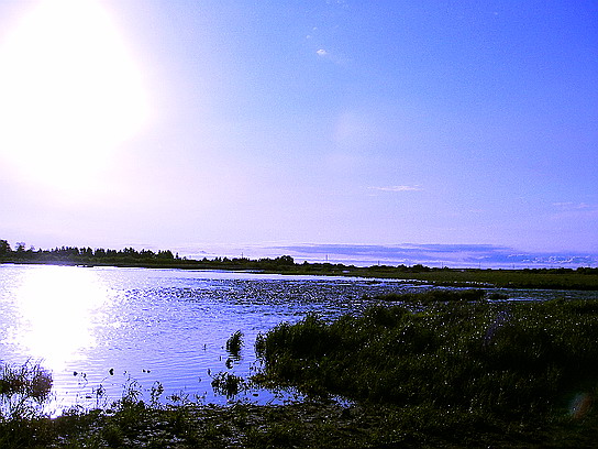 f0084561_15183645.jpg