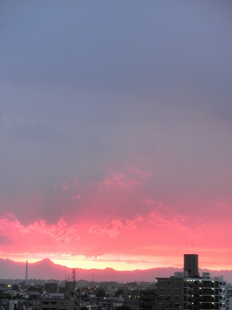b0145863_1956558.jpg