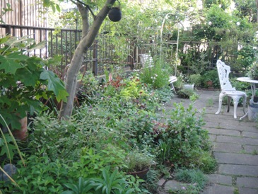 f0195963_16462729.jpg