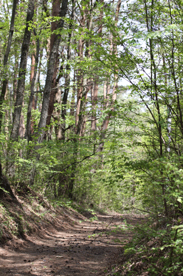 f0107364_23285248.gif