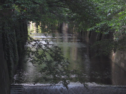 a0143465_21482100.jpg