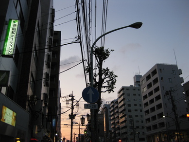 a0143465_220385.jpg