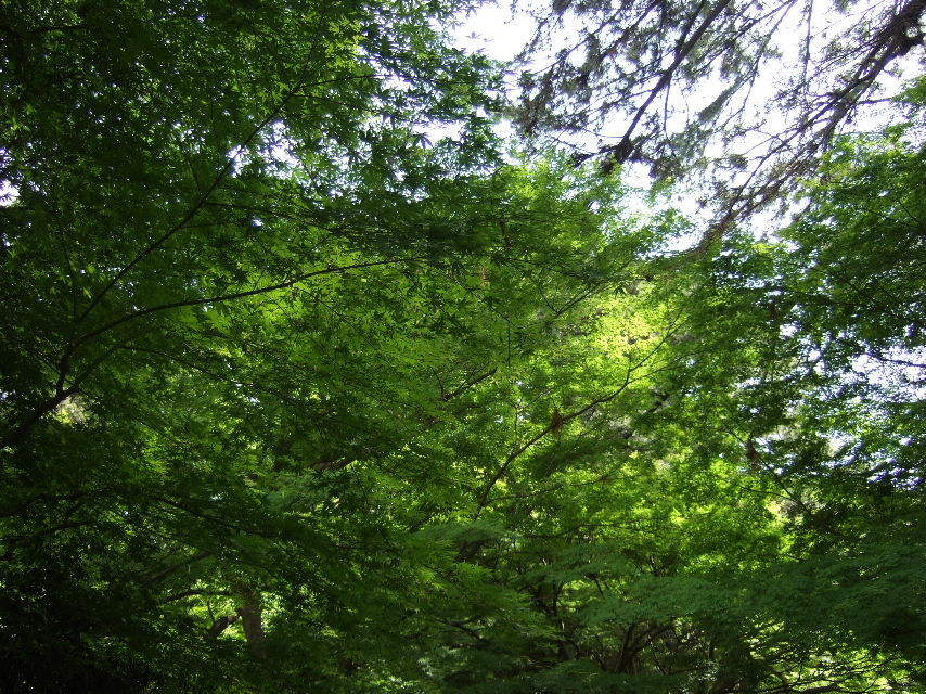 e0071165_22562390.jpg