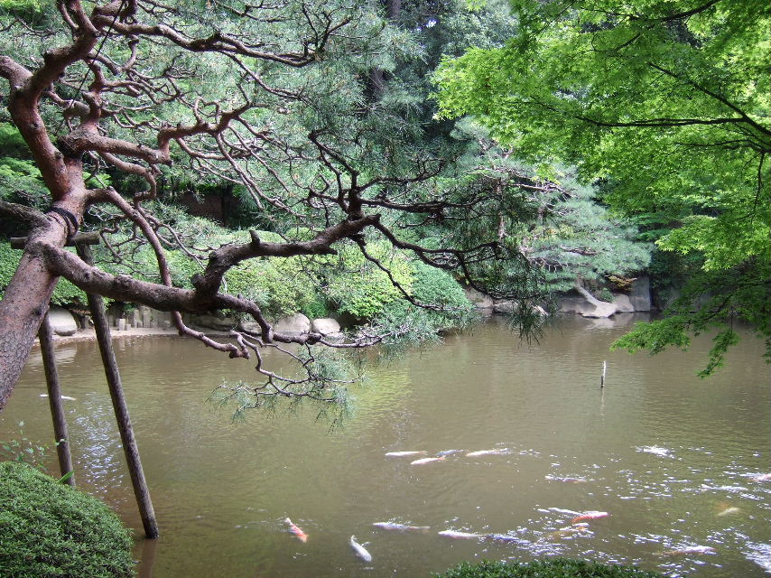 e0071165_23143793.jpg