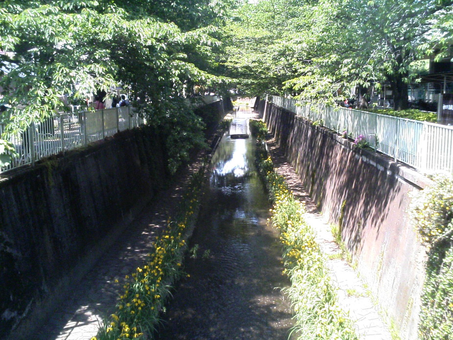 f0131165_22193295.jpg