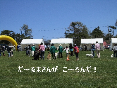f0203369_0142926.jpg