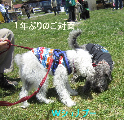 f0203369_0182224.jpg