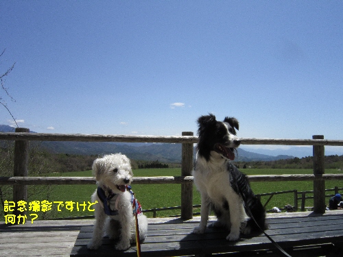f0203369_018494.jpg