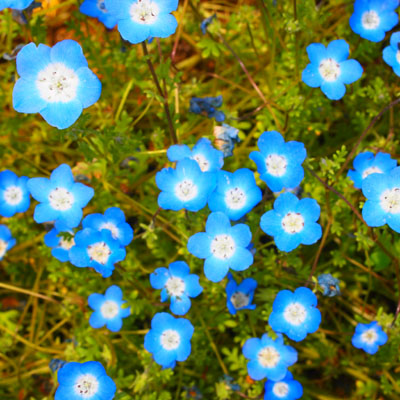 c0122670_2323655.jpg