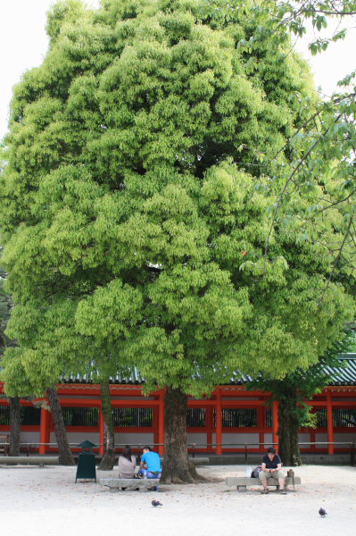 b0055171_21253459.jpg