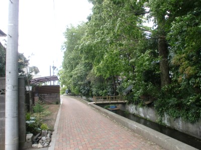 c0112172_0524582.jpg
