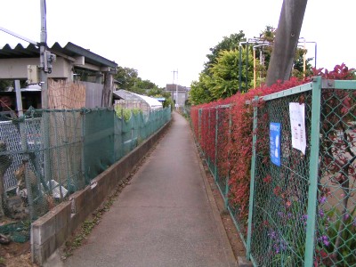 c0112172_232879.jpg