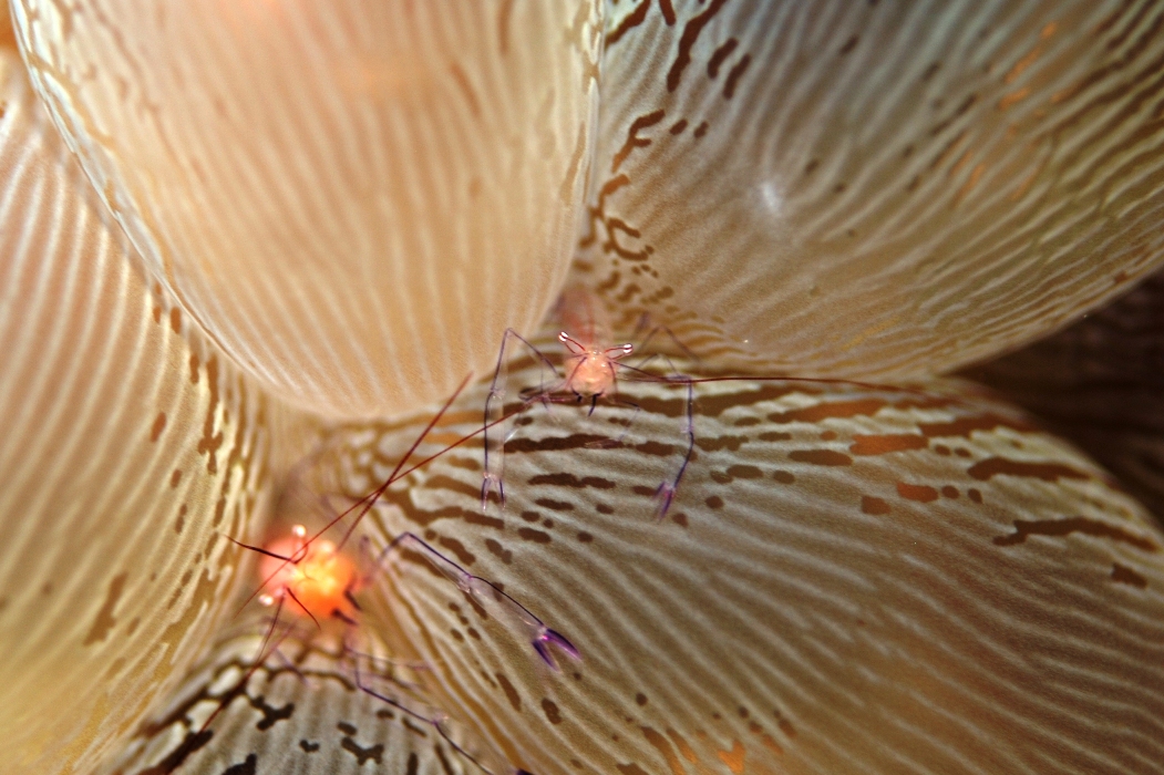 c0181073_1747289.jpg