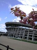f0061674_2222091.jpg