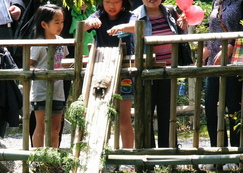 c0196076_22372125.jpg