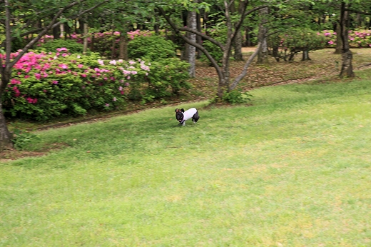 e0190885_16351891.jpg