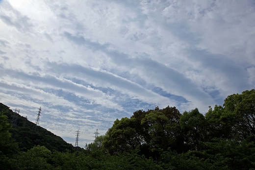 e0190885_16353234.jpg