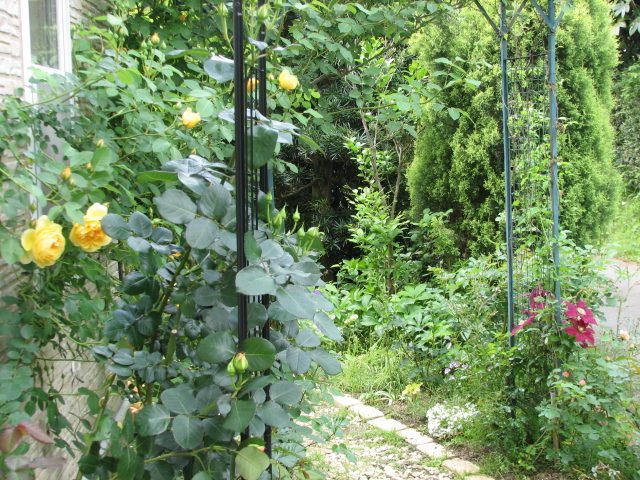 e0052690_12263780.jpg
