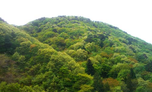 b0099994_12371736.jpg