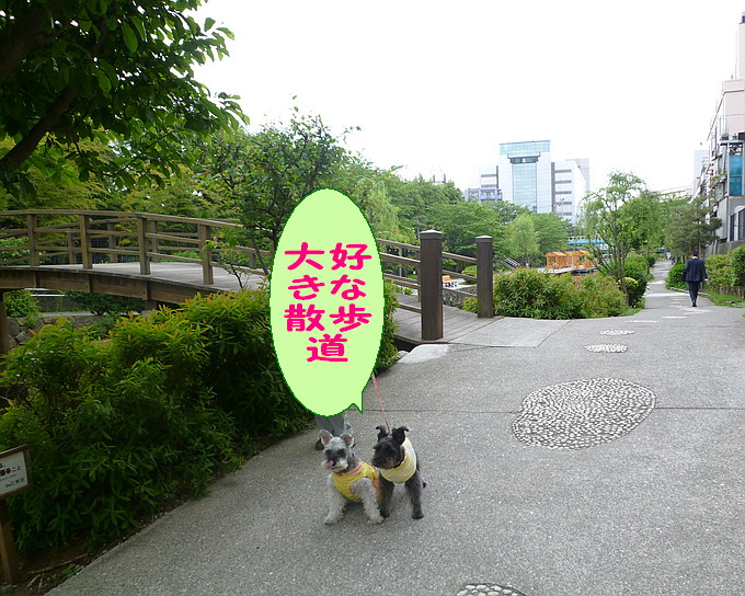 c0138198_16121099.jpg