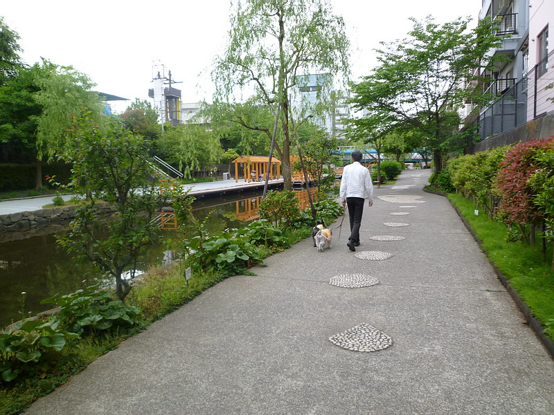 c0138198_1615143.jpg