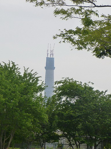 c0138198_16231749.jpg