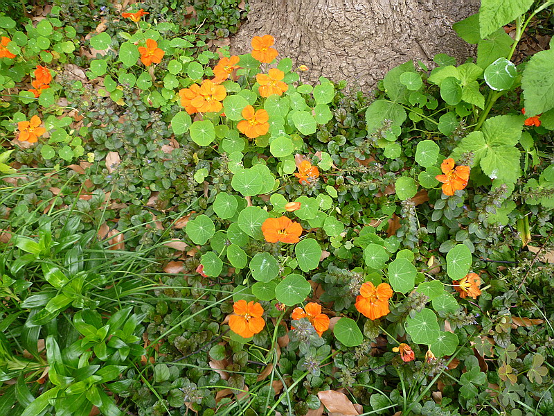 c0138198_16241069.jpg