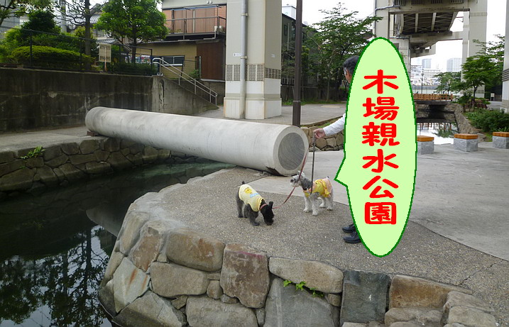 c0138198_1644591.jpg