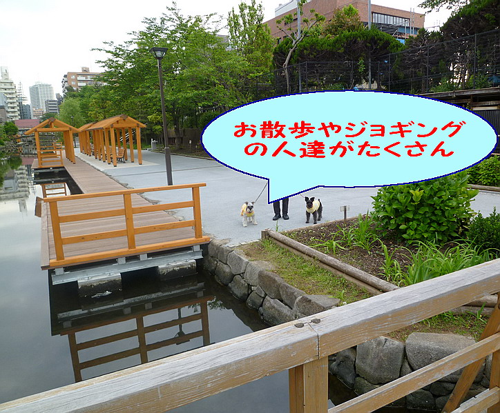 c0138198_1682731.jpg