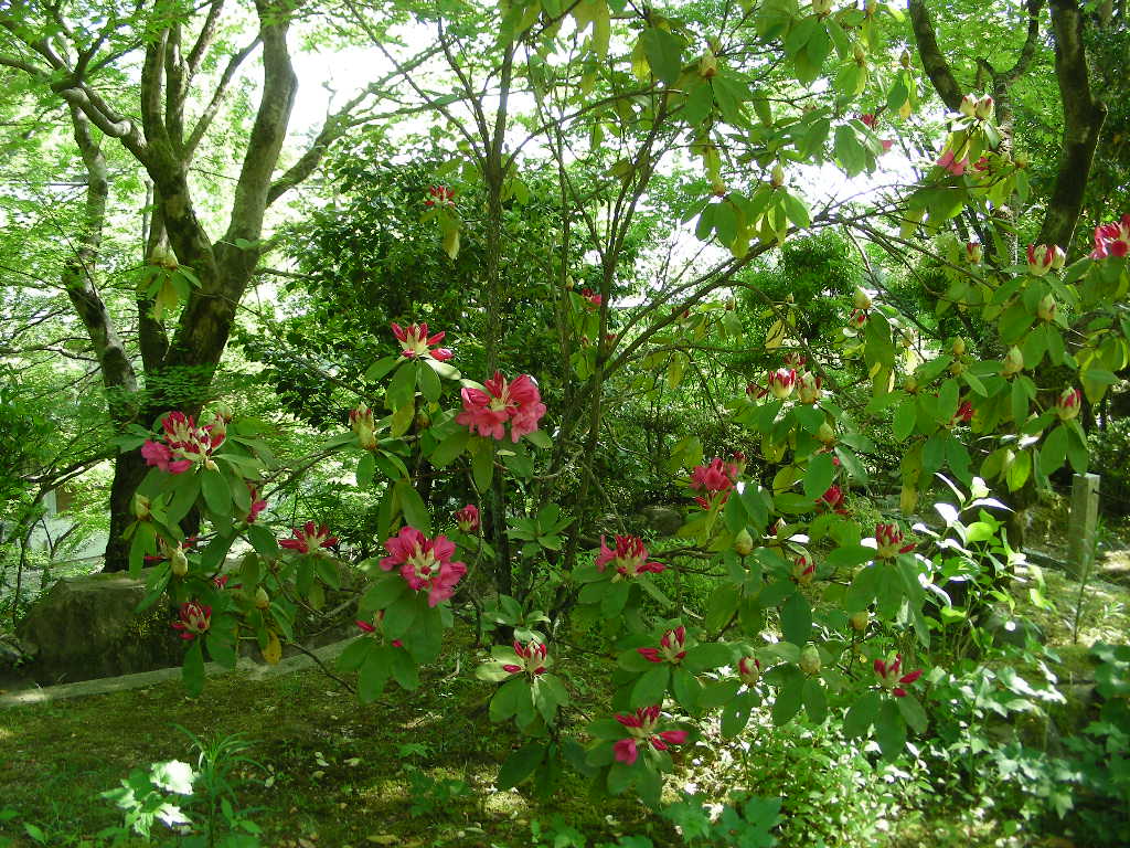c0145299_2213366.jpg