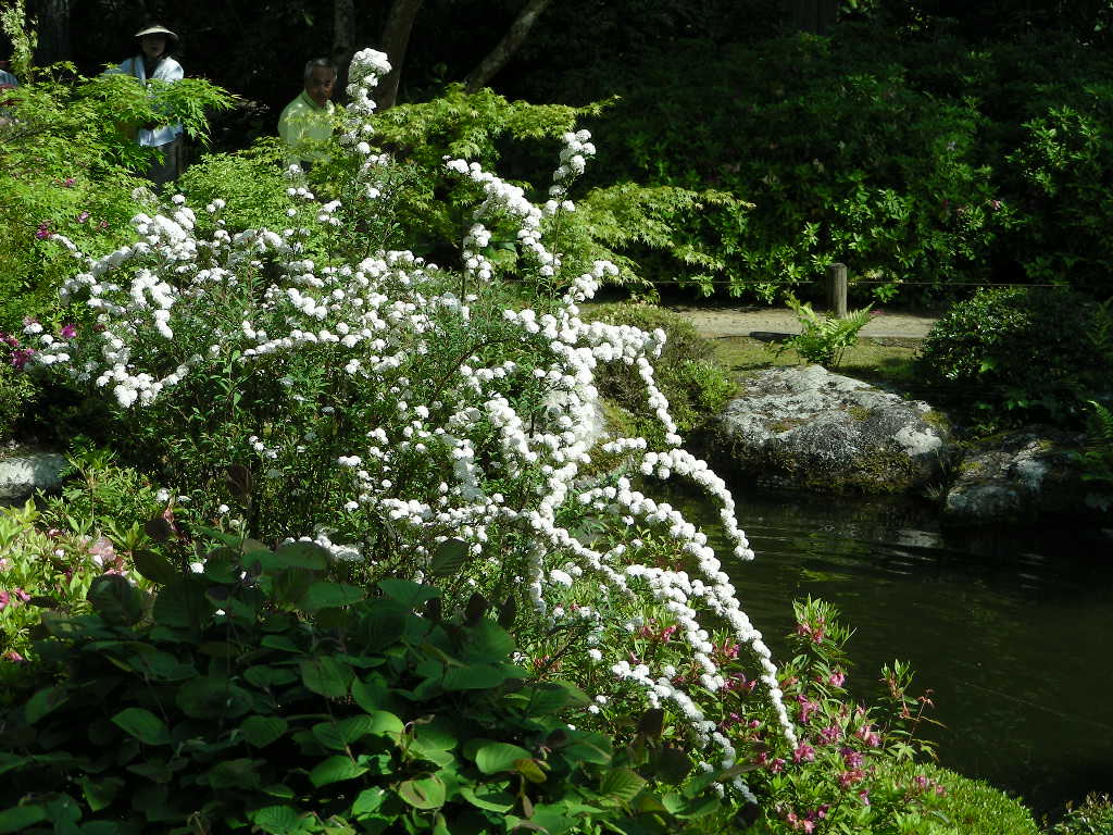 c0145299_22191282.jpg